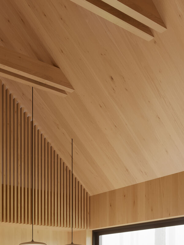 Dřevěný strop s odkrytými trámy